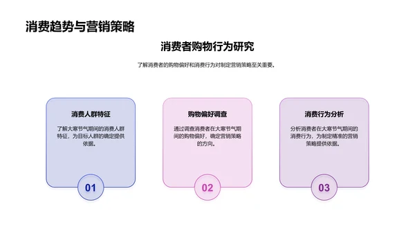 大寒营销策略报告