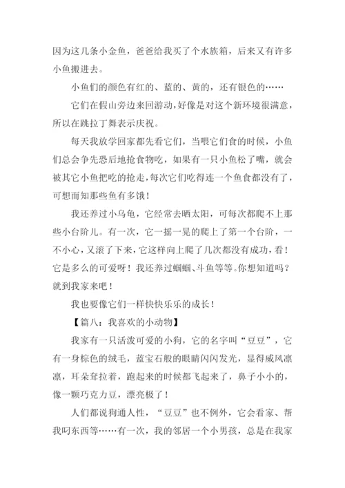 小动物的作文350字.docx