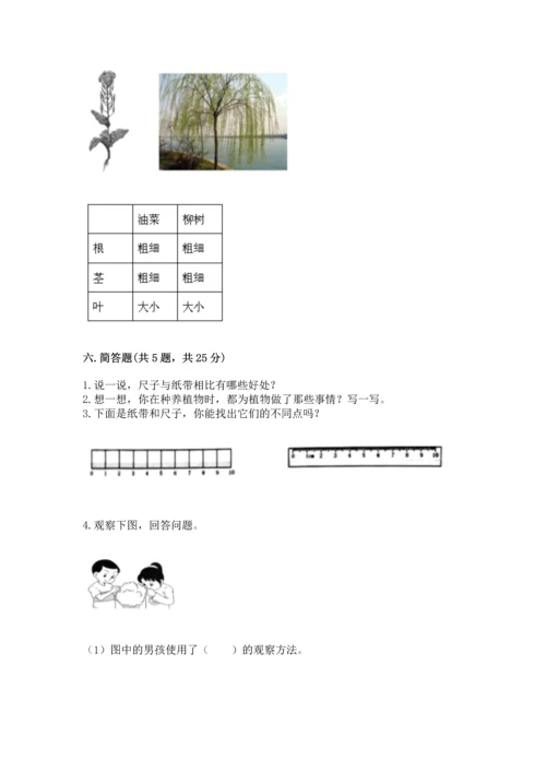 教科版一年级上册科学期末测试卷及参考答案【典型题】.docx