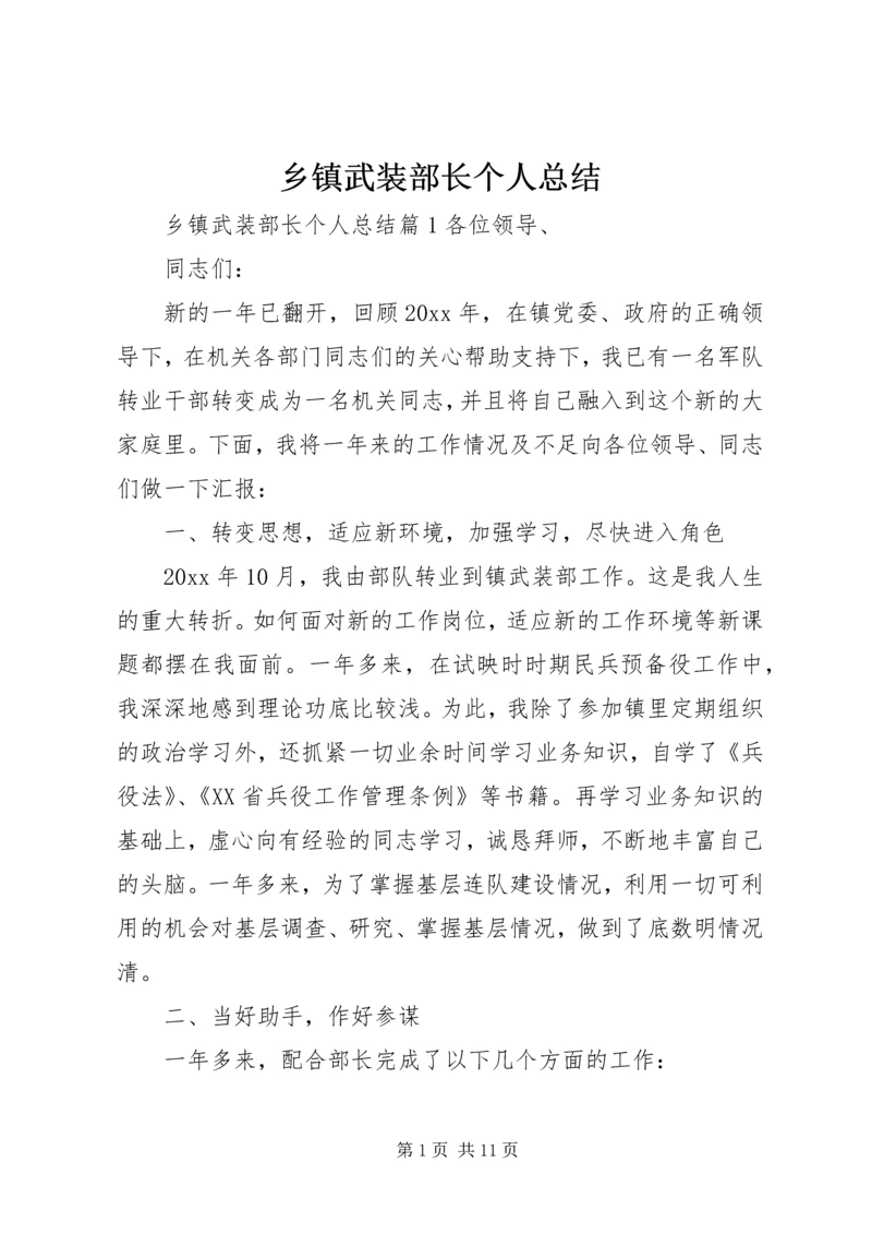 乡镇武装部长个人总结.docx