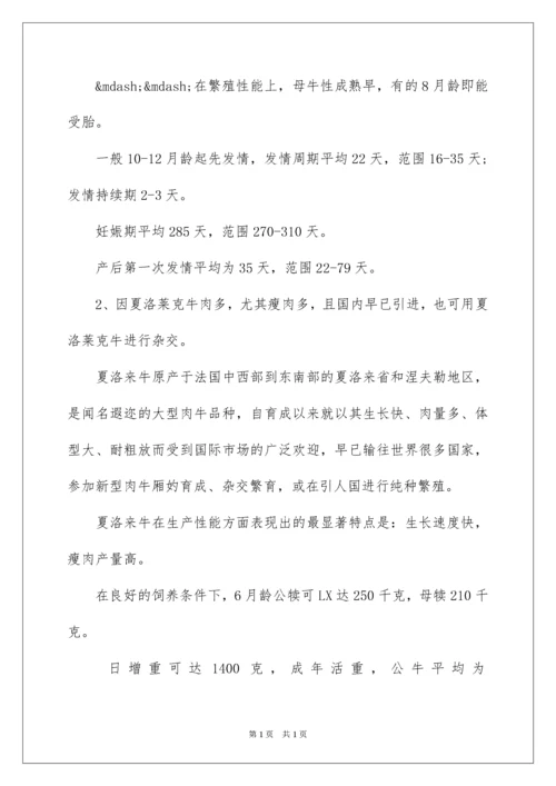 2022养牛创业项目计划书.docx