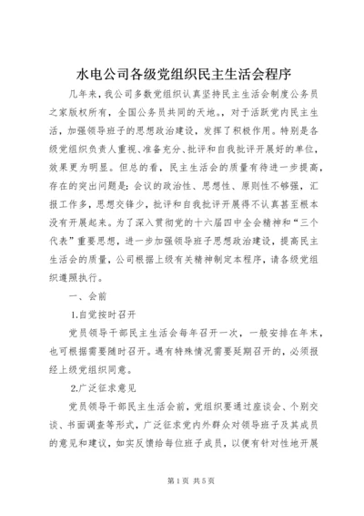 水电公司各级党组织民主生活会程序.docx