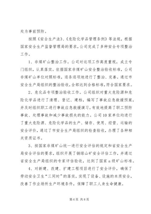 国有大型铜业联合企业安全工作汇报.docx