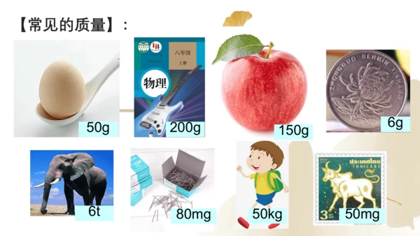 6.1质量（课件）(共29张PPT) -2023-2024学年八年级物理上册同步精品课堂（人教版）