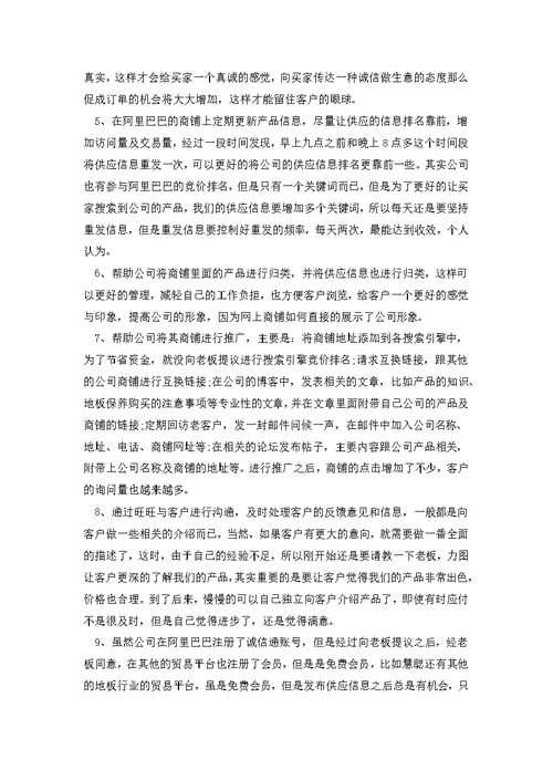 网络销售实习报告的优秀范文