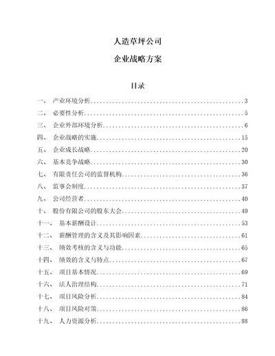 人造草坪公司企业战略方案