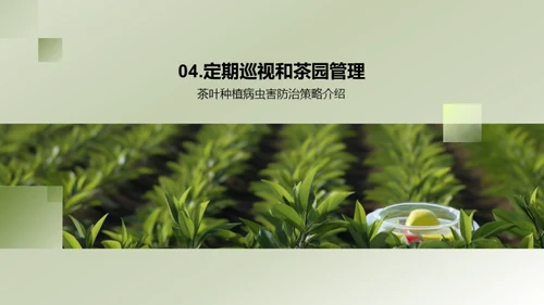 茶园病虫害科学防治