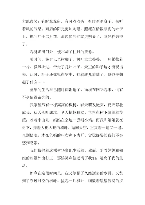 枫叶高中作文