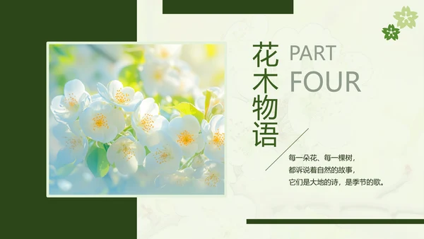 绿色简约风摄影师个人作品集PPT模板