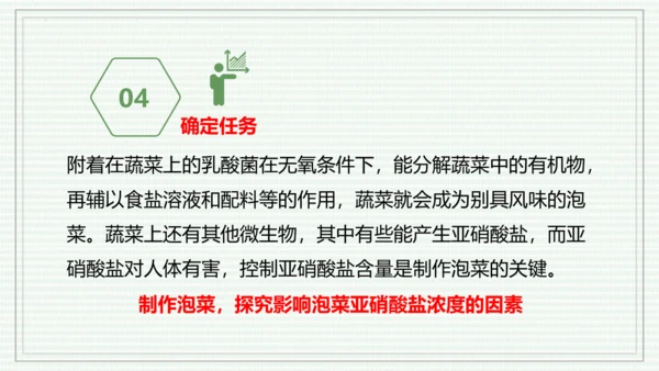 综合实践项目二  利用细菌或真菌制作发酵食品（课件）-【新教材】七年级生物上学期同步课件 （2024