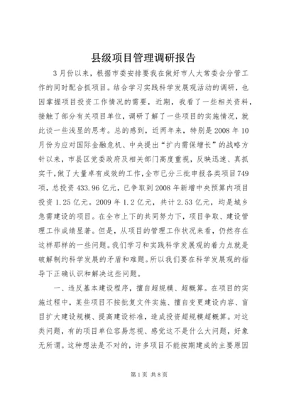 县级项目管理调研报告 (3).docx