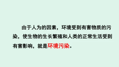 10.《我们所了解的环境污染》（第二课时）  课件