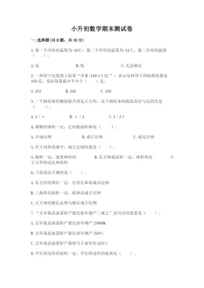 小升初数学期末测试卷精品【巩固】.docx