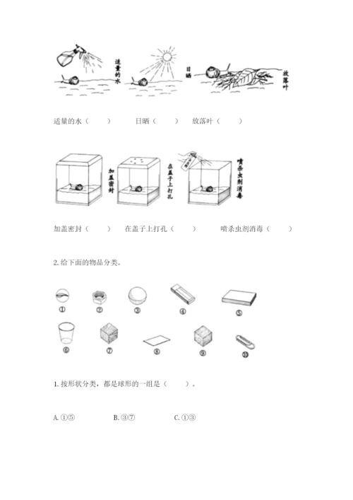 教科版一年级下册科学期末测试卷加解析答案.docx