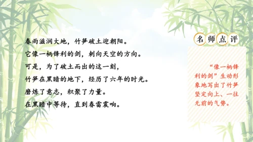 统编版语文四年级下册习作专项：第三单元习作： 当个“小诗人”写写诗课件