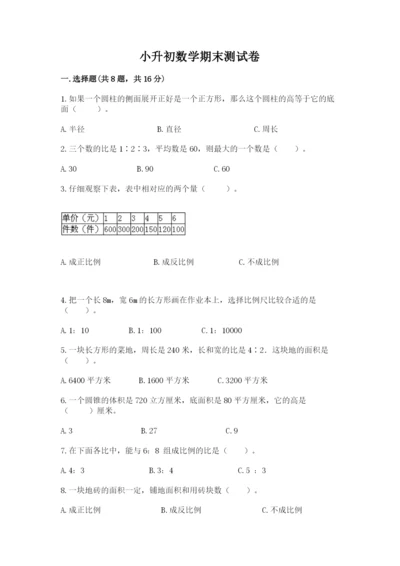 小升初数学期末测试卷（名师系列）.docx