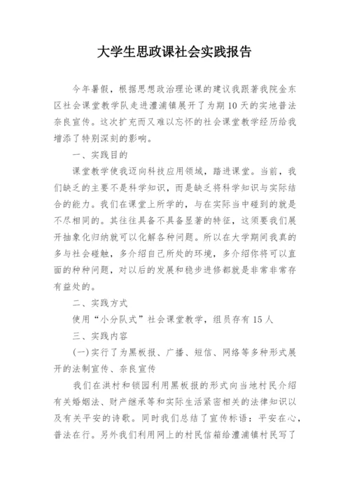 大学生思政课社会实践报告.docx