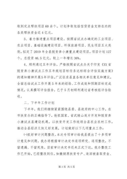 扶贫办XX年上半年工作总结及下半年工作计划 (4).docx