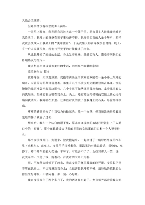 流浪狗作文锦集7篇.docx