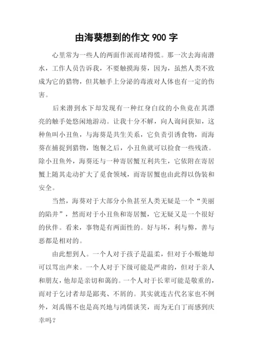 由海葵想到的作文900字.docx