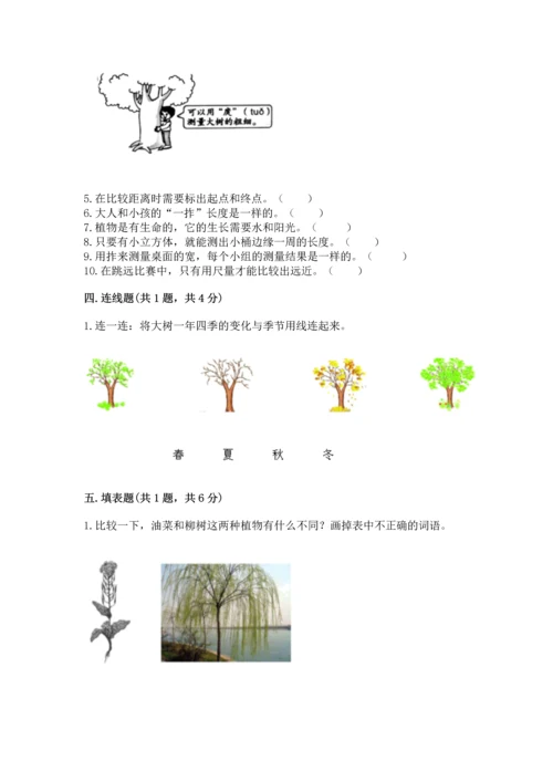 教科版一年级上册科学期末测试卷含答案（综合卷）.docx