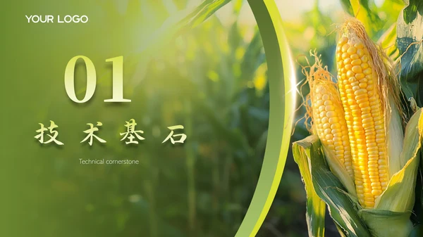 绿色智慧农业项目汇报PPT模版