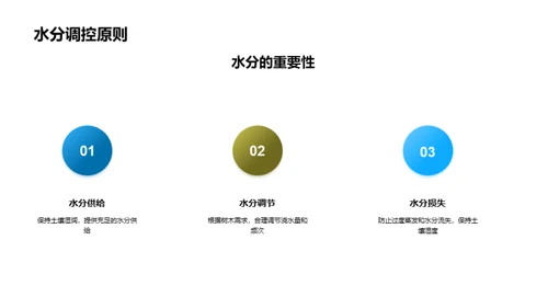 科学植树实践探索