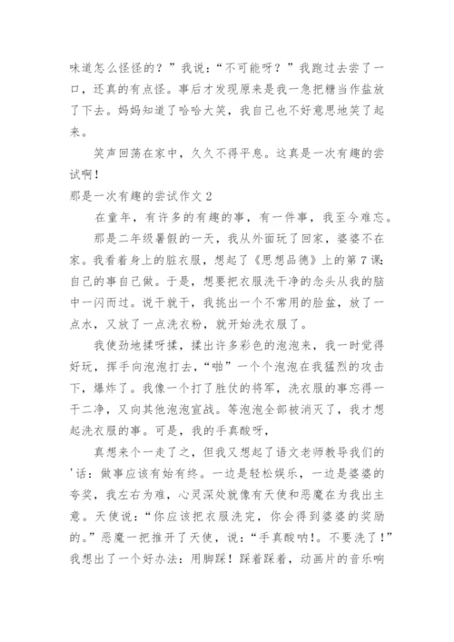 那是一次有趣的尝试作文_5.docx