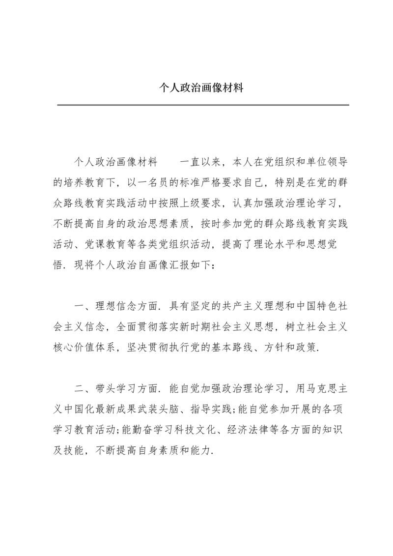 个人政治画像材料.docx