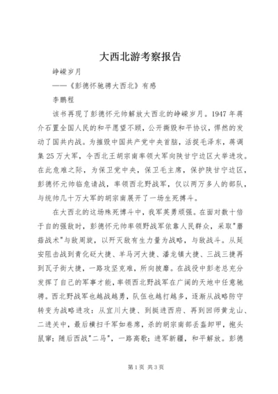 大西北游考察报告 (2).docx