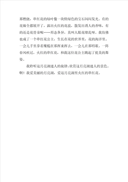 美丽的月亮湖作文500字