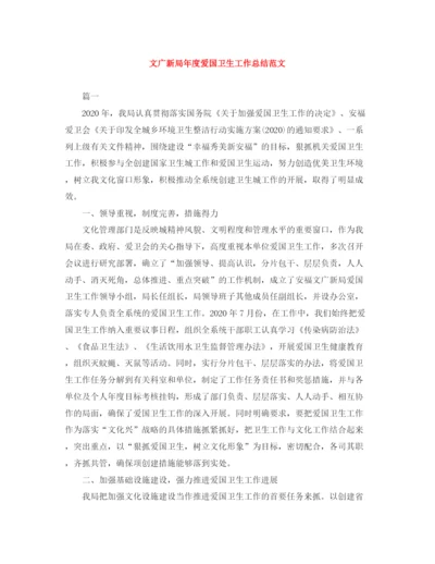 精编之文广新局年度爱国卫生工作总结范文.docx