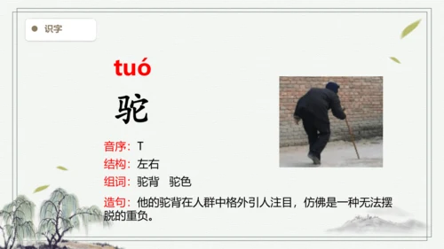 【2024秋季学期教材】语文二上语文园地七 生字识记课件