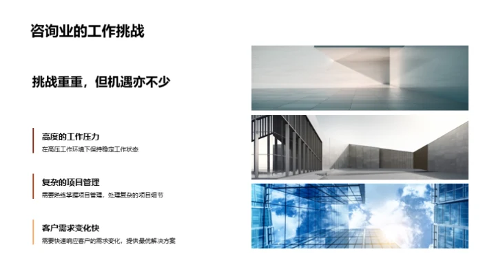 咨询业的生存与进阶