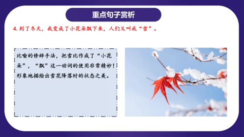 统编版2023-2024学年二年级语文上册单元复习第一单元（复习课件）