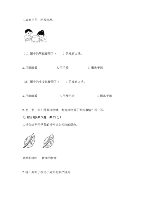 教科版科学一年级上册第一单元《植物》测试卷及完整答案（夺冠）.docx