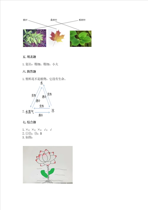 教科版科学一年级上册第一单元植物测试卷及完整答案考点梳理