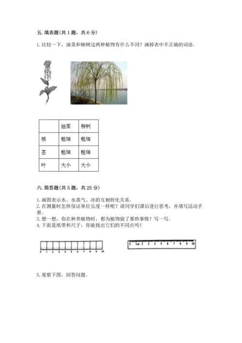 教科版一年级上册科学期末测试卷【b卷】.docx