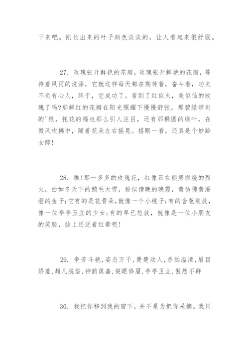 描写玫瑰花的唯美经典句子.docx
