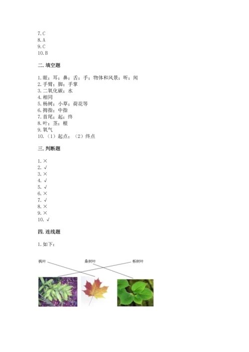 教科版一年级上册科学期末测试卷及一套答案.docx