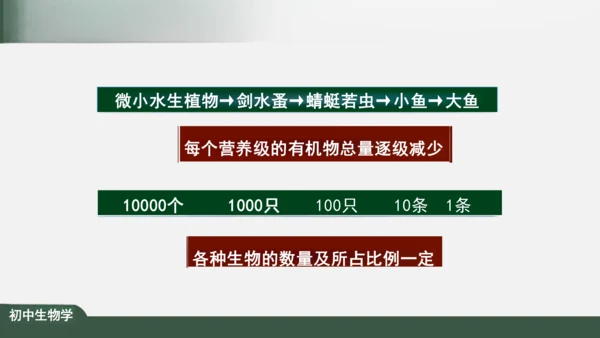 1.2.2 生物与环境组成生态系统 课件（共25张PPT）