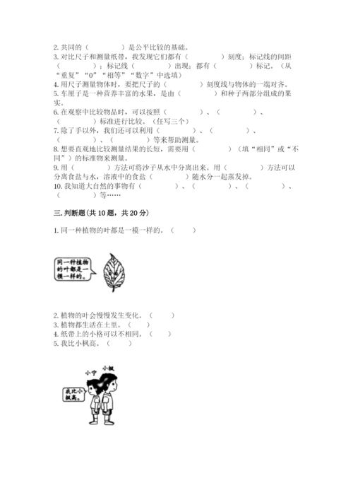 教科版一年级上册科学期末测试卷（考点梳理）.docx