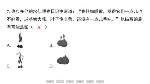 统编版语文四年级上册（江苏专用）第三单元素养测评卷课件