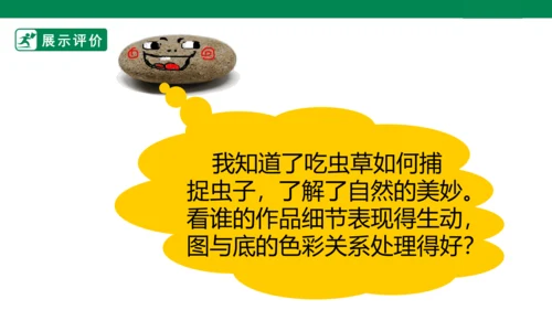 第二课《吃虫草》课件