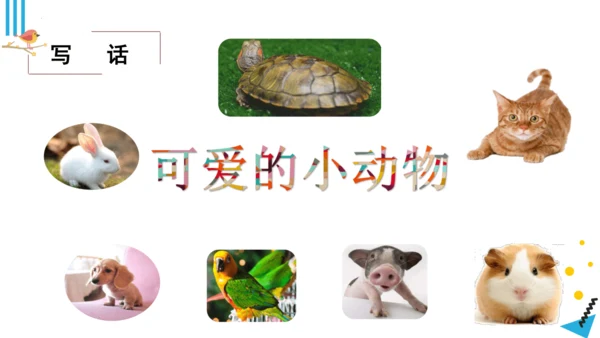统编版语文二年级下册第七单元复习（课件）