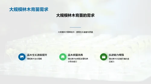 育苗科技：林业新纪元