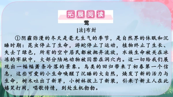 19《大雁归来》课件