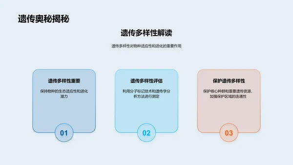 生物多样性解析PPT模板