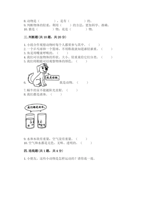 教科版一年级下册科学期末测试卷（黄金题型）.docx