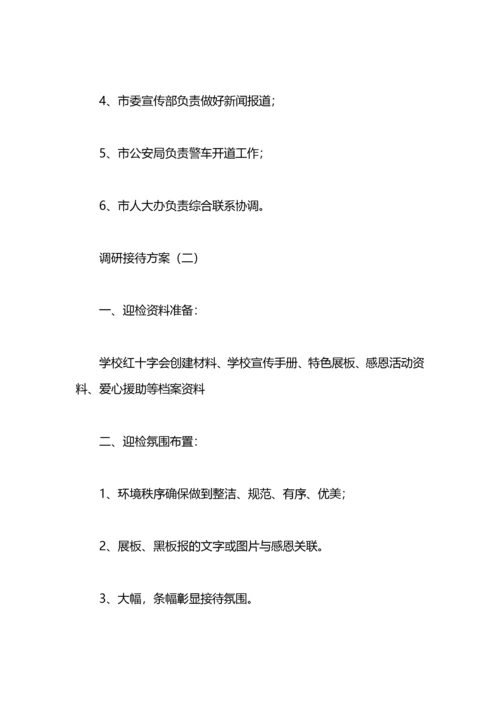 调研接待方案.docx